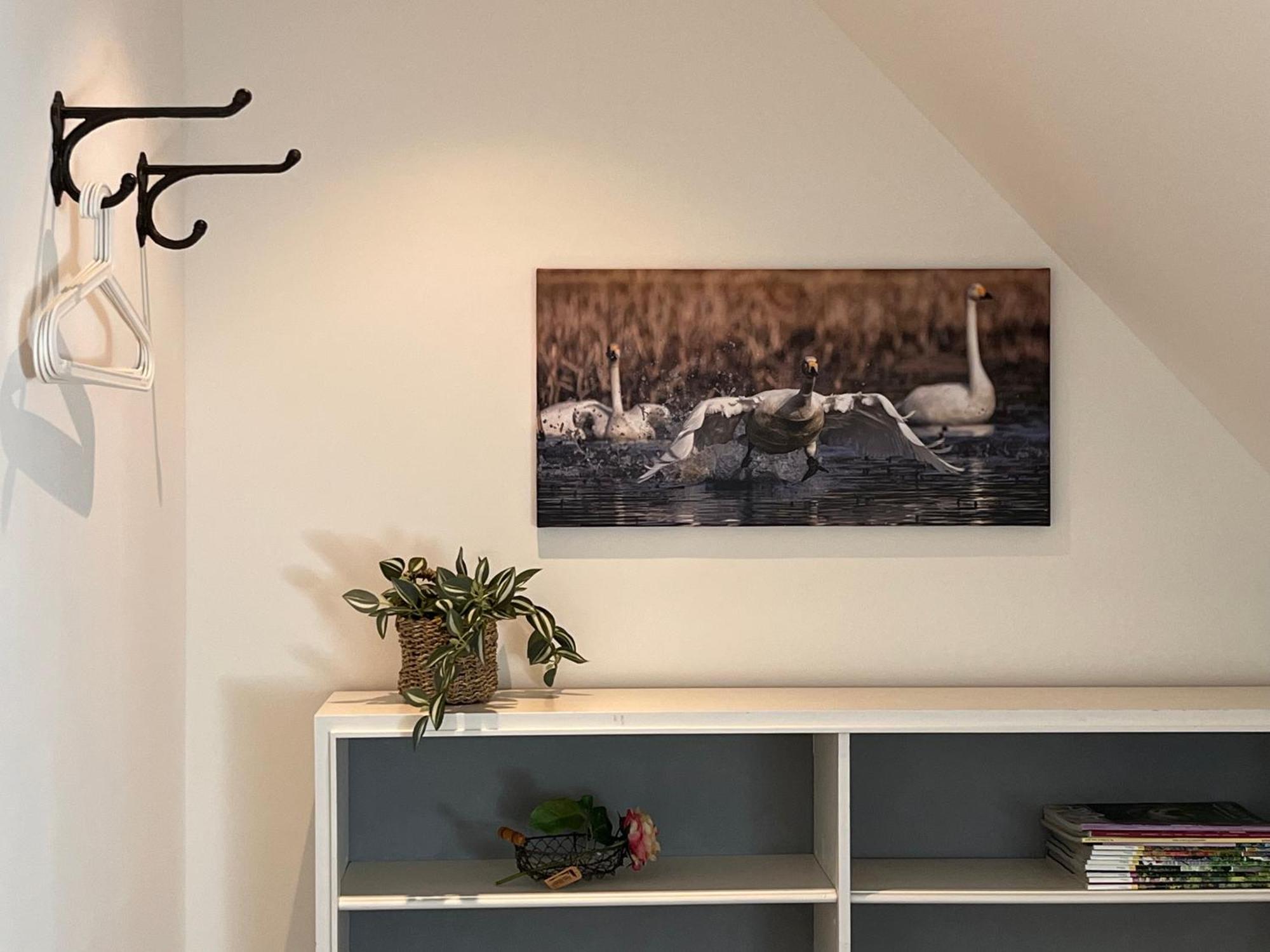 Elb Nest Gaestehaus Neu Darchau Esterno foto